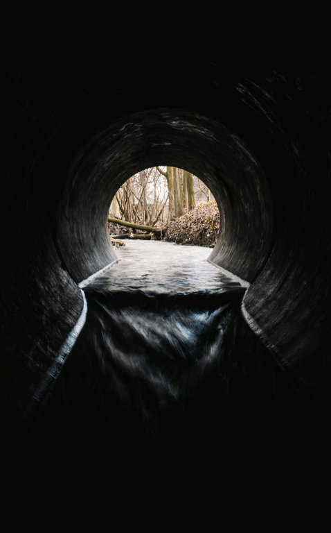 Sewer opening to a wooded area.